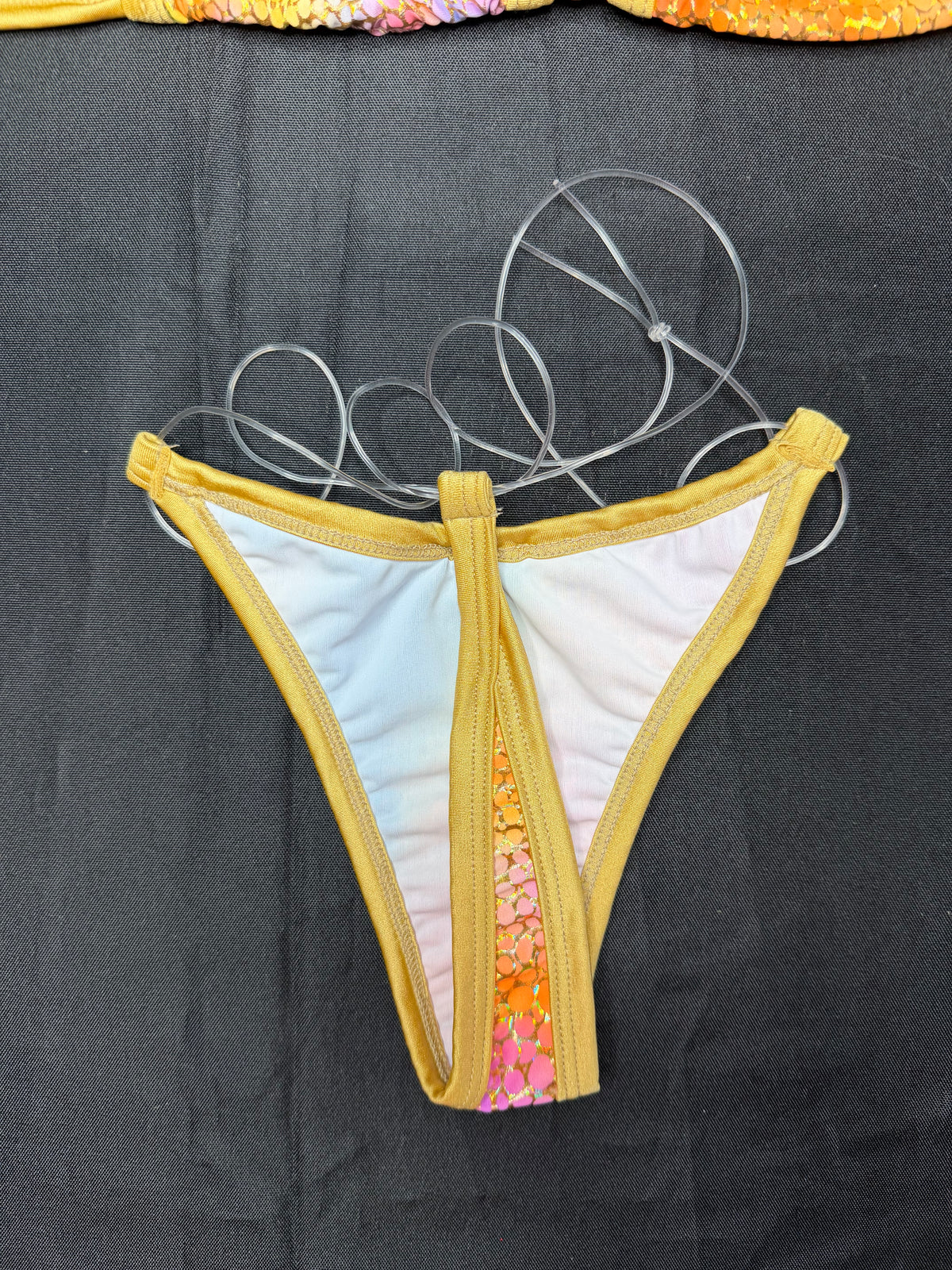 Multicolor Iridescent/Holographic with Gold trim Two-Piece Bikini Lingerie Outfit