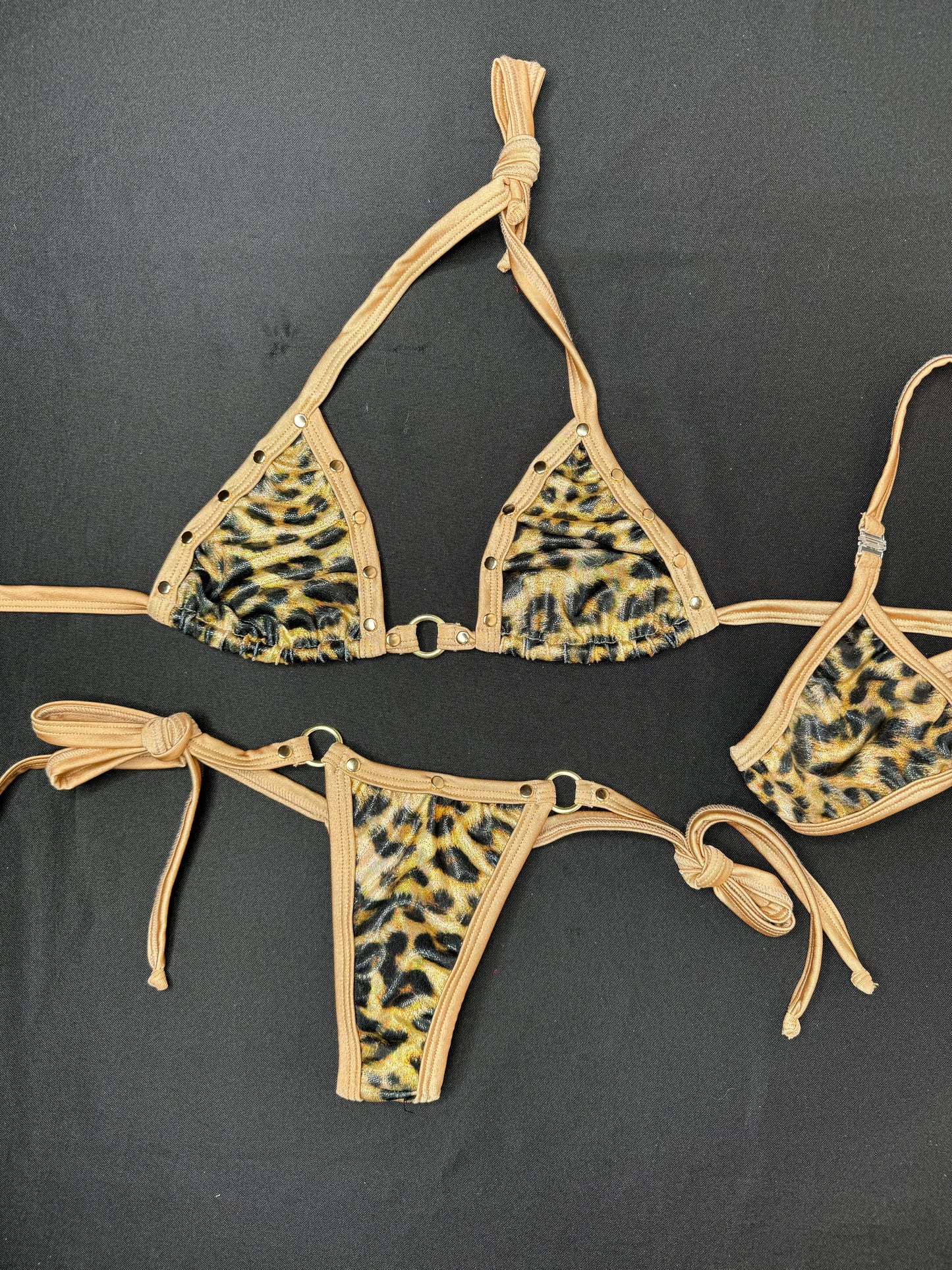 Animal Print Two-Piece Bikini Lingerie Outfit