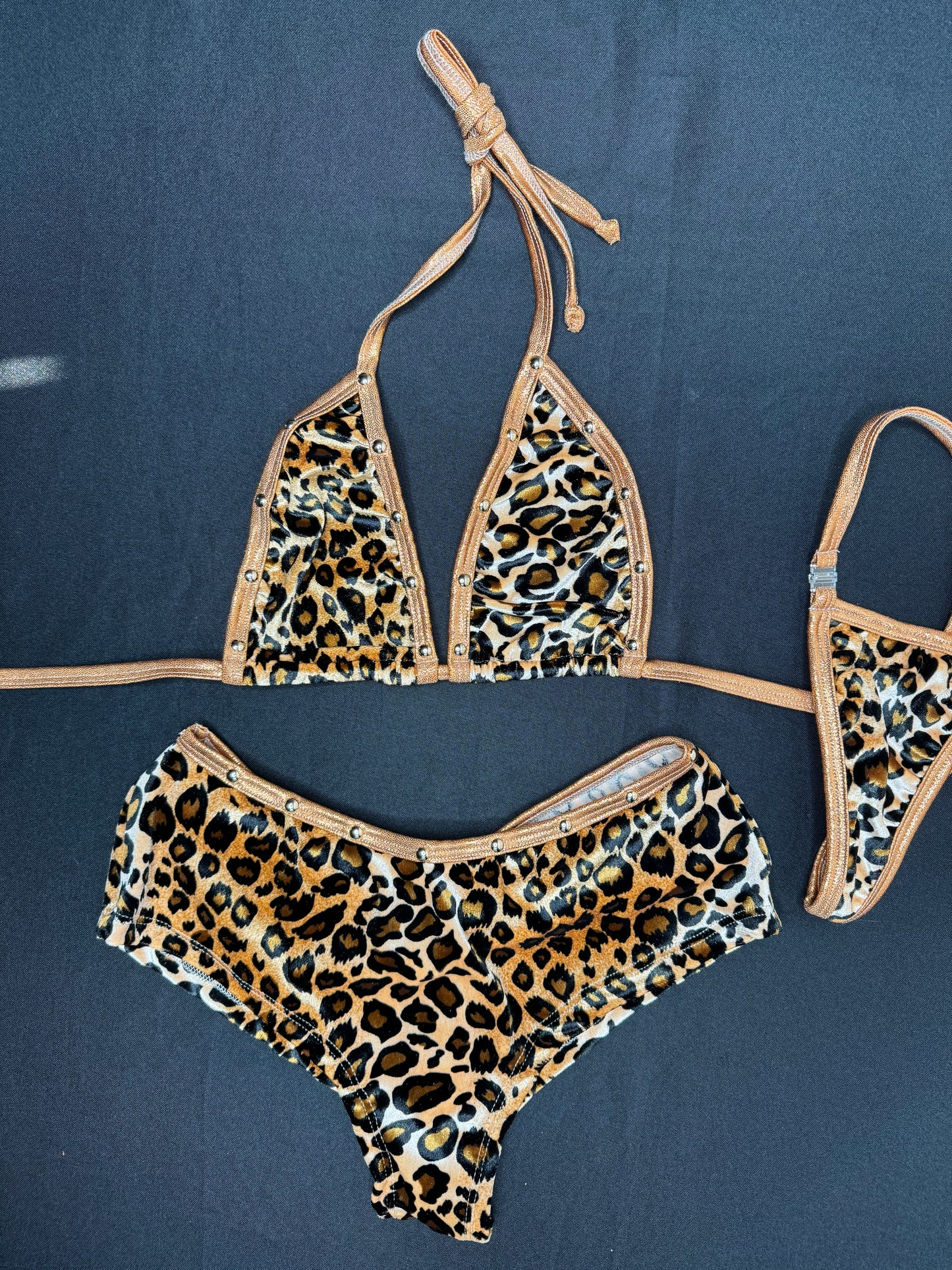 Animal Print Velvet/Chocolate Microdot Spandex Two-Piece Bikini Top/Shorts Lingerie Outfit