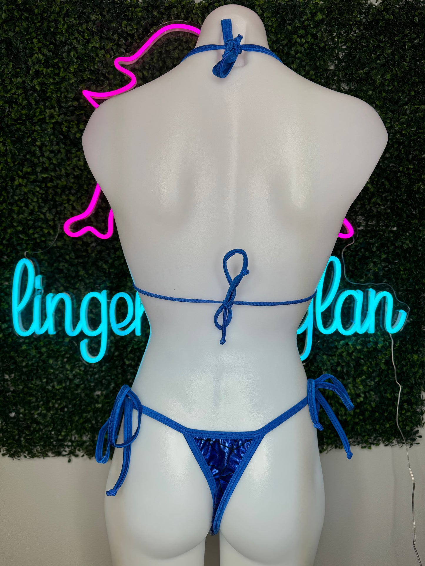 Exotic Dance Wear Bikini - Dance with Elegance
