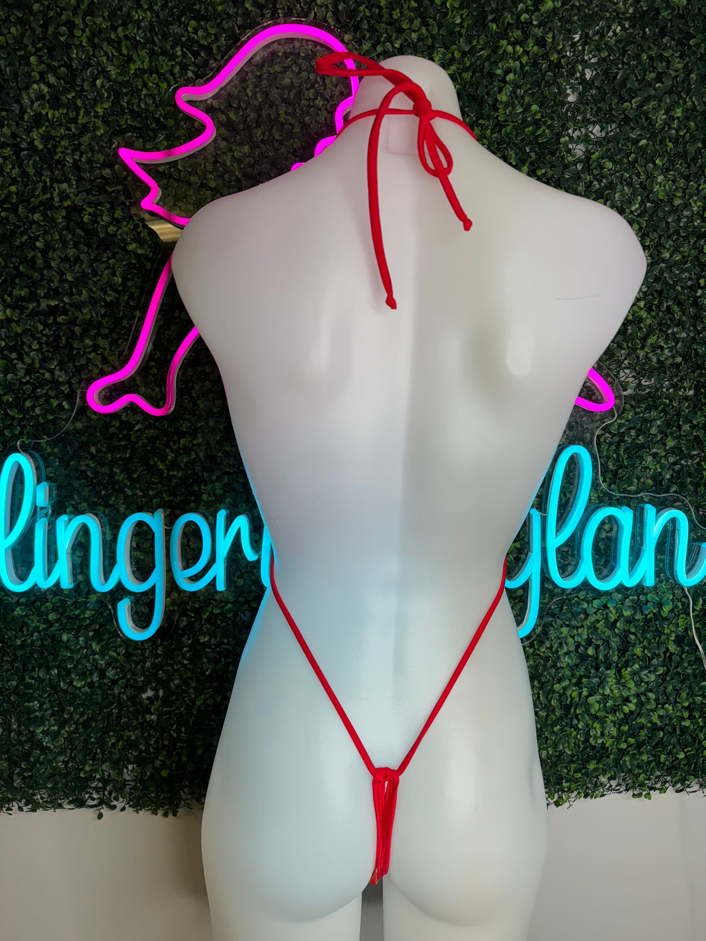 Exotic Dance Wear Sling Shot Outfit Red/Green Lingerie