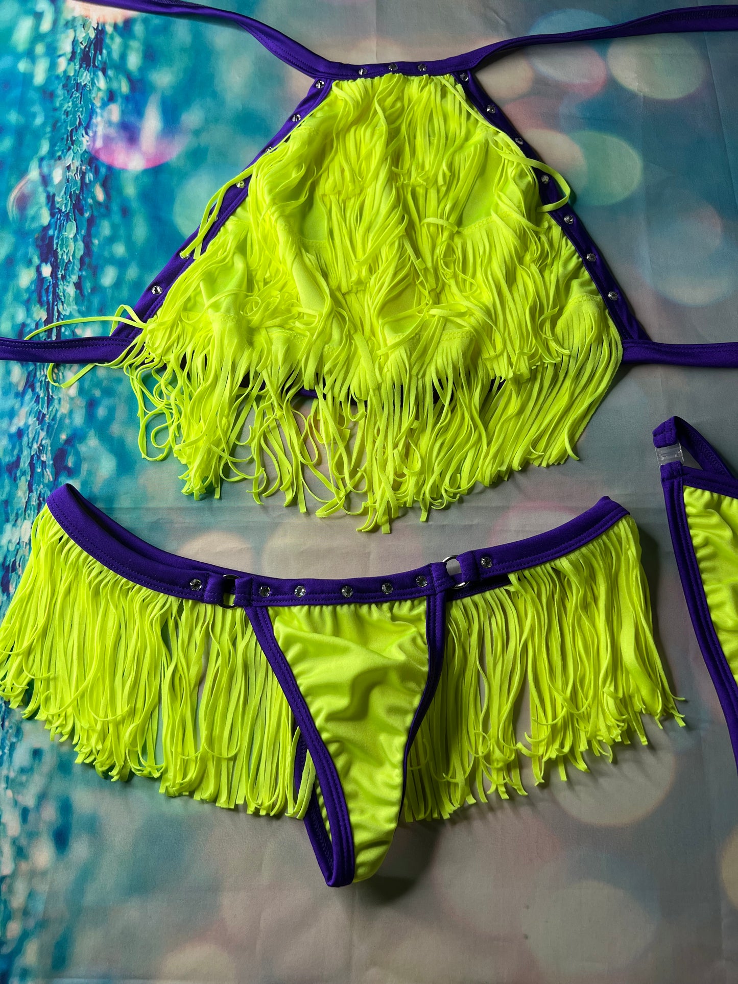 Exotic Dance Wear Fringe Bikini Top & Thong - Lingeriebydylan
