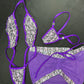 Designer Purple Spandex Sling-Shot/Mesh Skirt Three-Piece Skirt Outfit