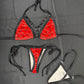 Red VELVET Designer Two-Piece Bikini Lingerie Outfit