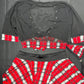 Red Plaid/Black Mesh School Girl Two-Piece Skirt Lingerie Outfit