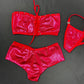 Metallic Red Tube Top/Shorts Two-Piece Lingerie Outfit