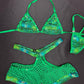 Metallic Green/Fishnet Green Bikini Top/Shorts Two-Piece Lingerie Outfit