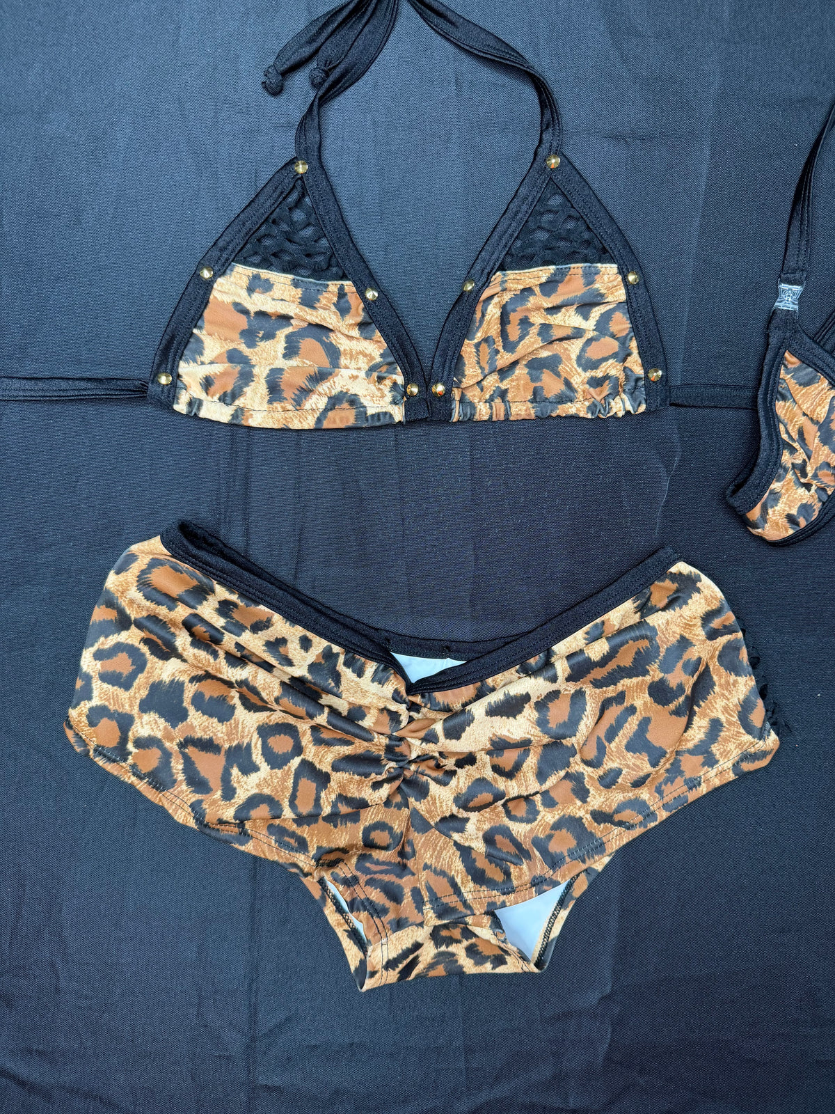 Cheetah Animal Print/Black Spandex Two-Piece Bikini Lingerie Outfit