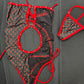 Red/Black Bunny Mesh/Spandex One-Piece Exotic Dancer Outfit
