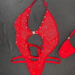 Red Mesh/Red Spandex One-Piece Lingerie Outfit