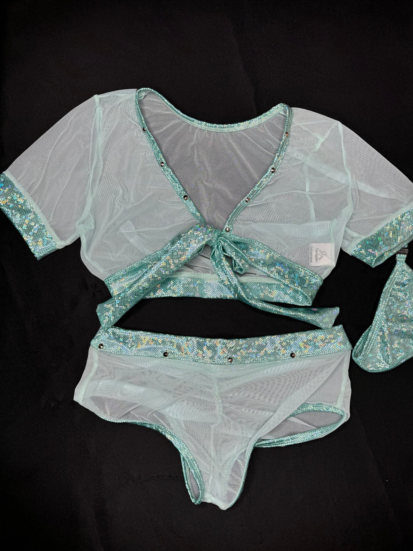 Metallic Mint Spandex/Mint Mesh Two-Piece Lingerie Outfit