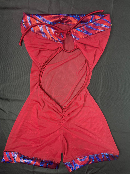 Burgundy Mesh/Spandex One-Piece Lingerie Outfit