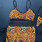 Cheetah Print Sports Bra/Fringe Fishnet Shorts Two-Piece Lingerie Outfit