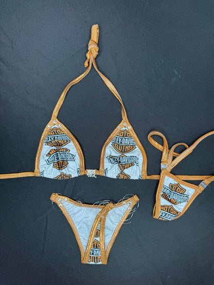 Harley/Copper Spandex Two-Piece Bikini Lingerie Outfit