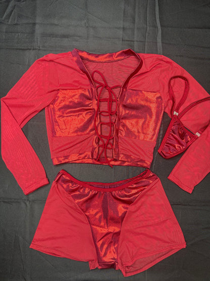 Metallic Burgundy Spandex/Burgundy Mesh Long Sleeve/Shorts Two-Piece Lingerie Outfit