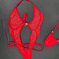 Red Mesh/Red Spandex One-Piece Lingerie Outfit