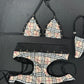 Plaid Designer/Black Bikini Top/Shorts Two-Piece Lingerie Outfit