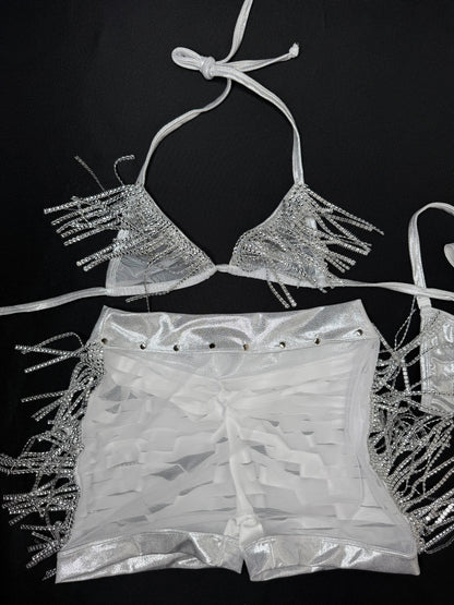 Chrome Spandex/White Mesh Two-Piece Lingerie Outfit
