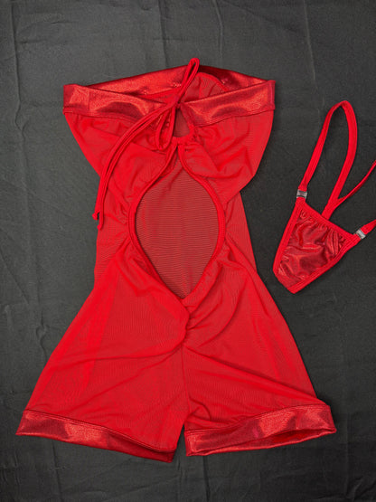 Metallic Red Spandex/Red Mesh One-Piece Lingerie Outfit