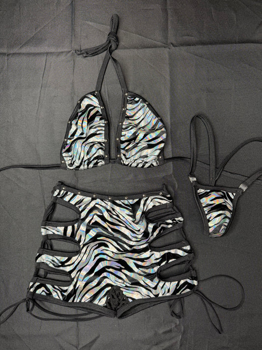 Silver/Black Tiger Stripe Animal Print Spandex Bikini Top/Shorts Two-Piece Lingerie Outfit