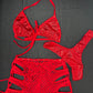 Metallic Red Spandex Three-Piece Bikini/Shorts/Cheeky Thong Lingerie Outfit